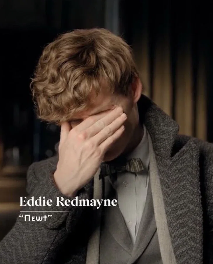 Fantastic Beasts — Newt Scamander 