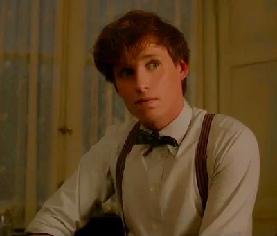 Fantastic Beasts — Newt Scamander || VS1
