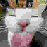 ok so explain to me WHAT THE FUC