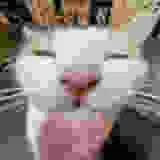 ok so explain to me WHAT THE FUC