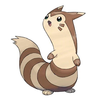 Furret