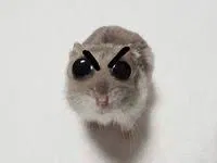 Bot suggestions