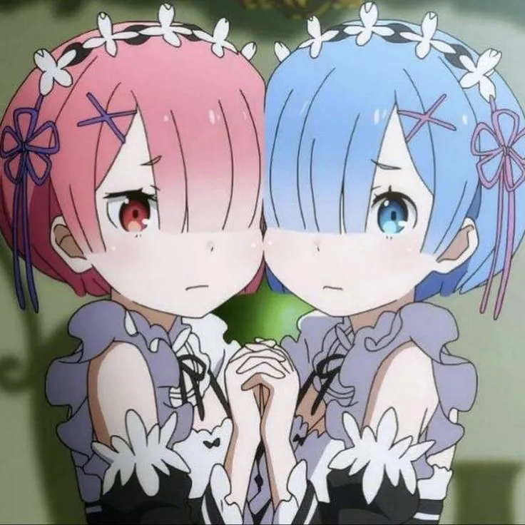 Ram and rem