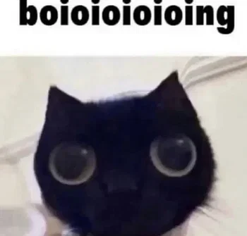 Bro
