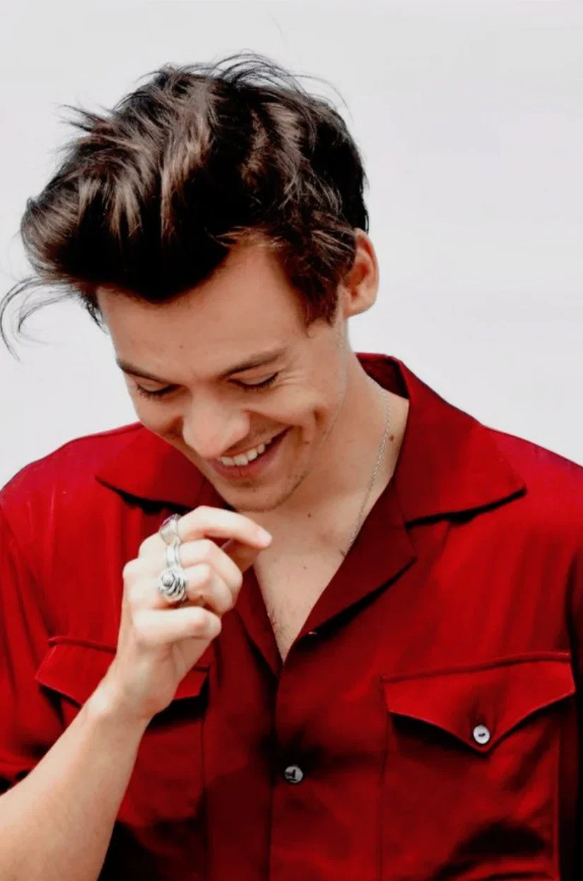 harry styles
