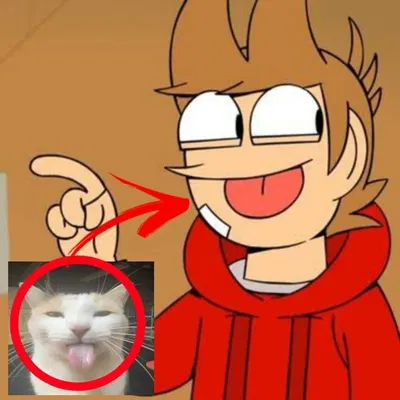 ↪︎⭐| TORD - EDDSWORLD