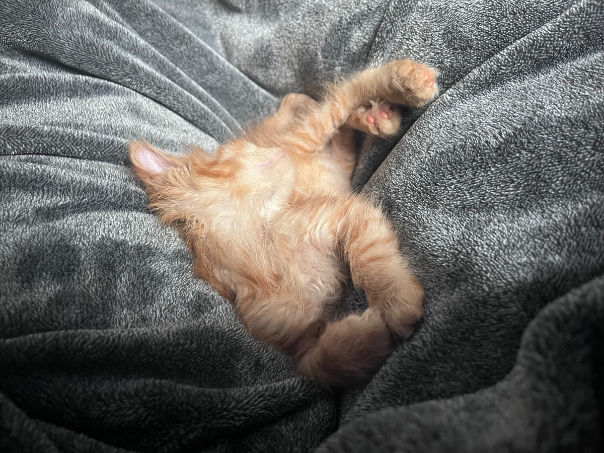 life update(s?)