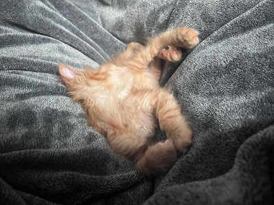 life update(s?)