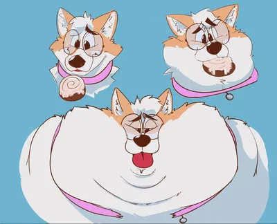 Your Fat Pet Corgi- Reuben