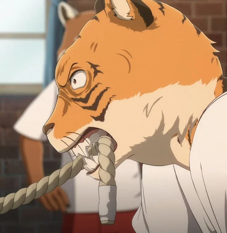 Bill | Beastars 