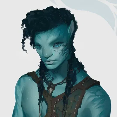 Rotxo