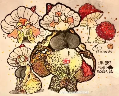  Mycelia, the Forest Curio