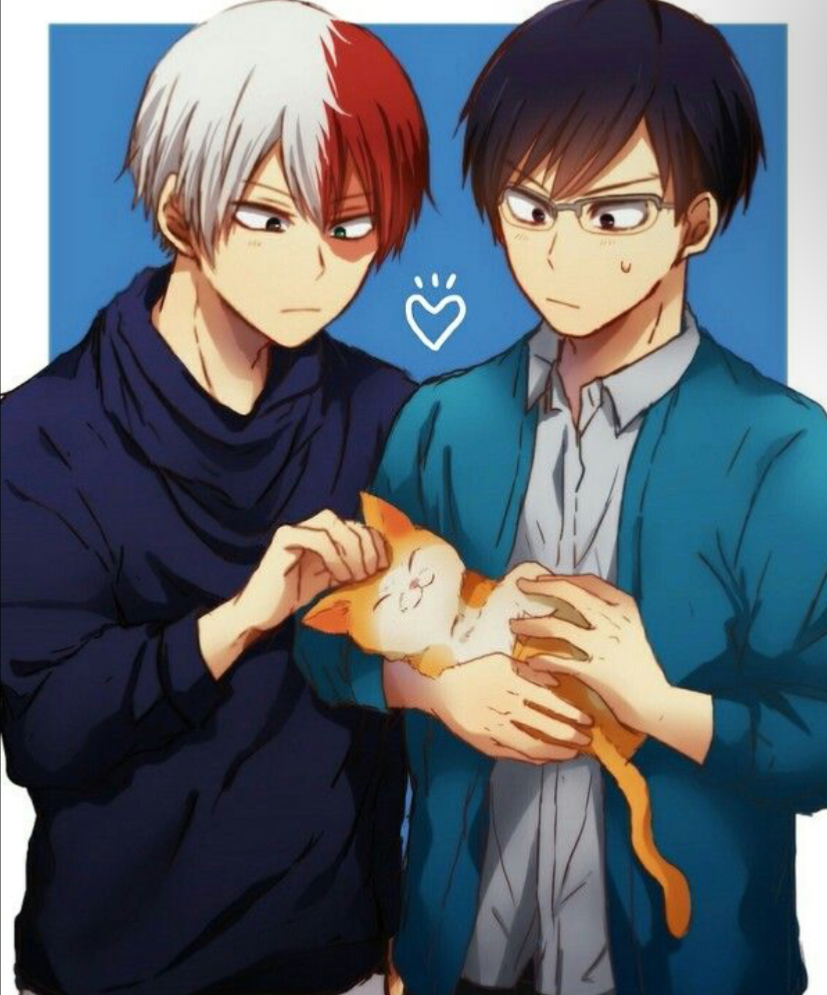 Tenya iida, Shoto todoroki