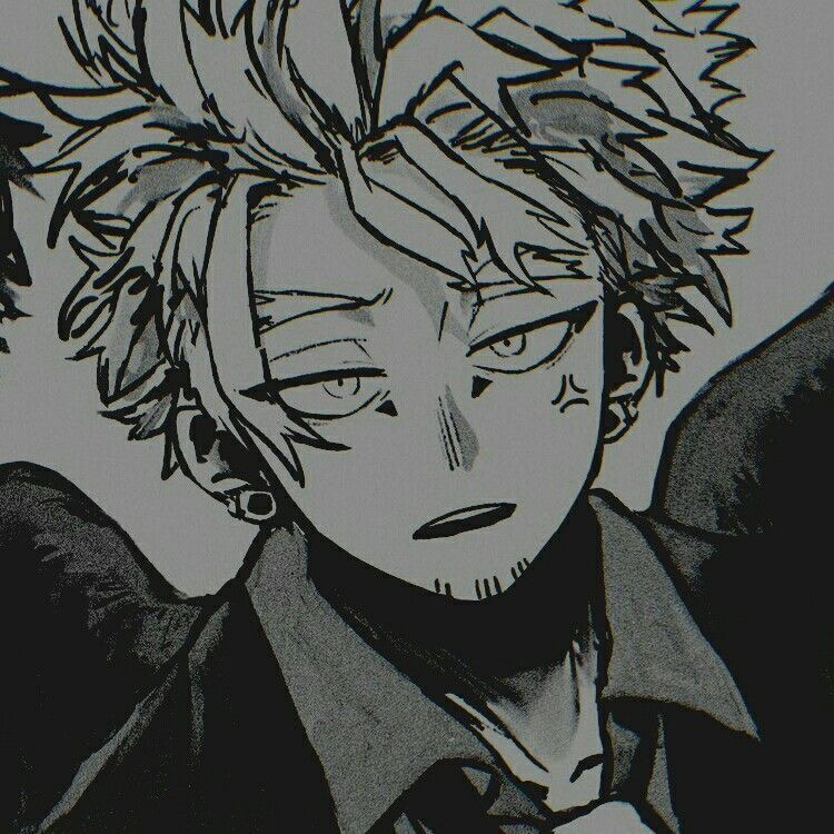 Keigo (Hawks) 🐦‍🔥 