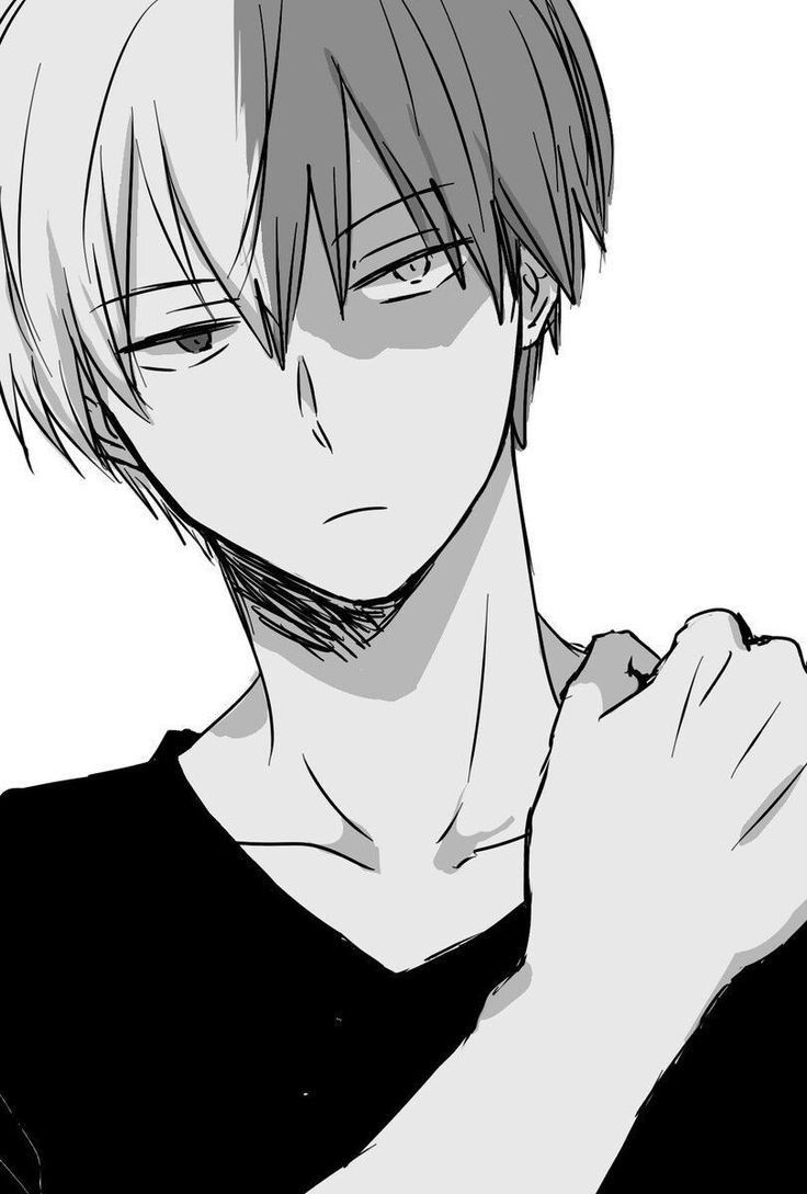 Shoto Todoroki