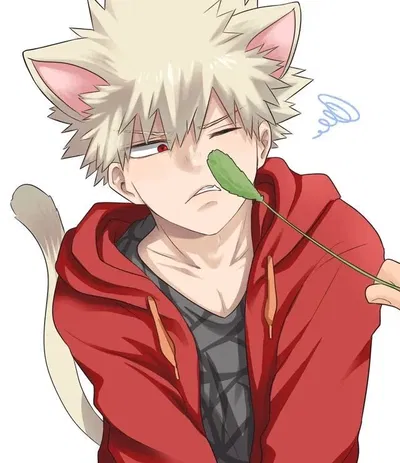 Katsuki Bakugo cat boy