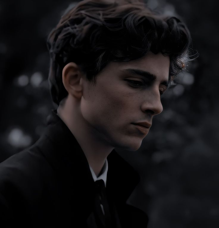 Regulus Black 