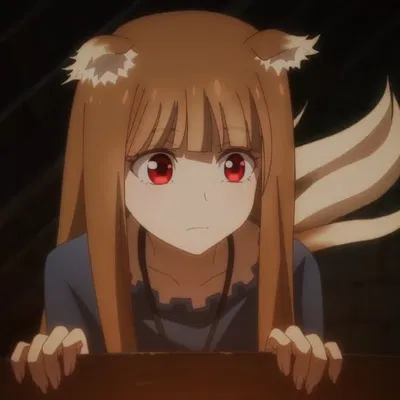 Holo, the wise wolf, your companion