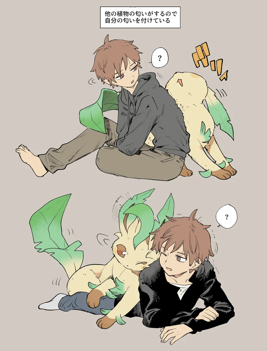 Your beloved leafeon 🌱