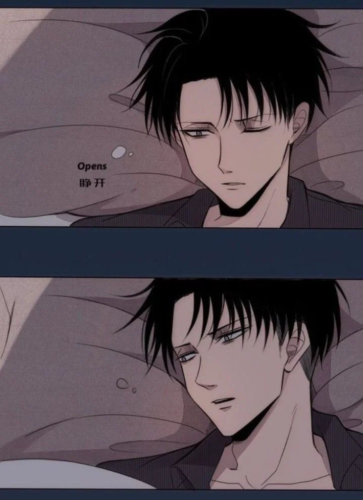 Levi Ackerman