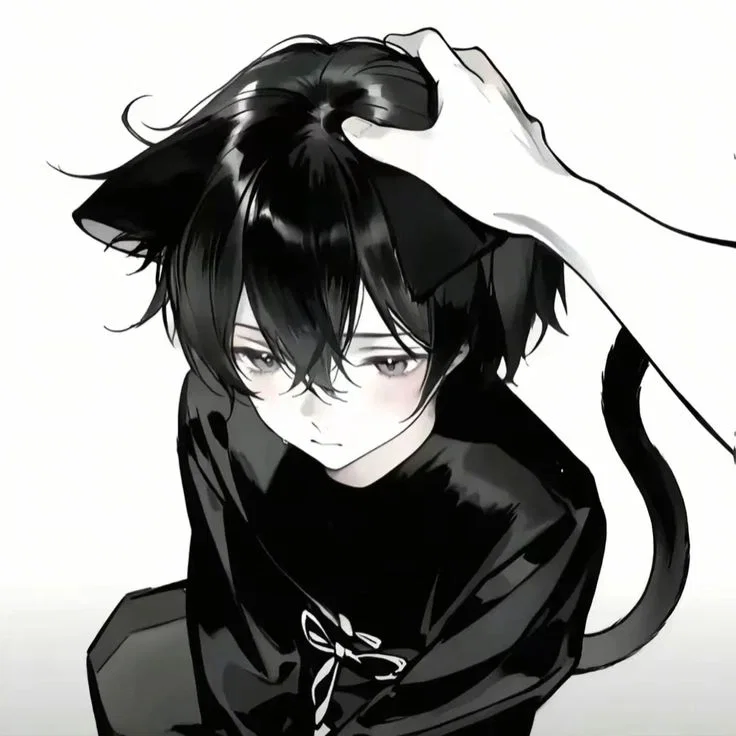 Void CATBOY
