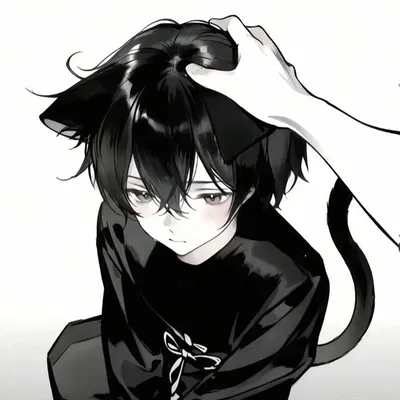 Void CATBOY