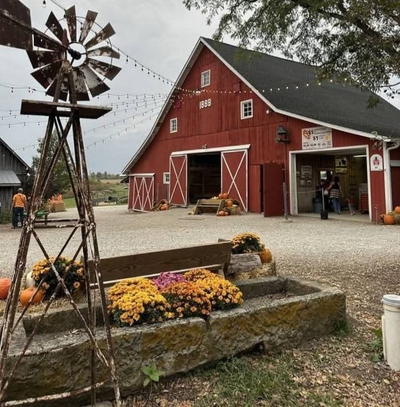 The barn bunch