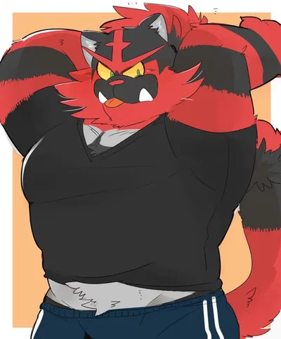 Bara Incineroar Pokemon