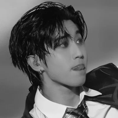 Han Jisung 𓈒 ݂۫ ୨୧