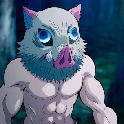 Inosuke Hashibira 