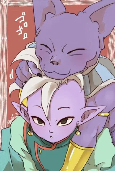 Beerus x Shin