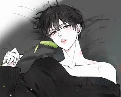 Noah || your brat companion