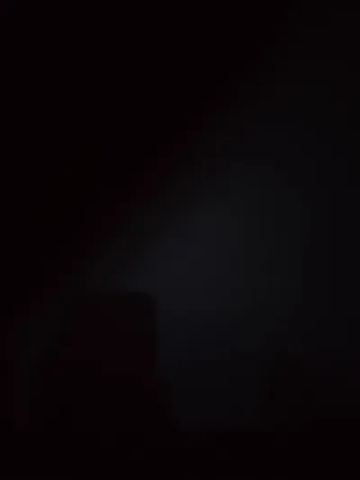REQUEST BOT