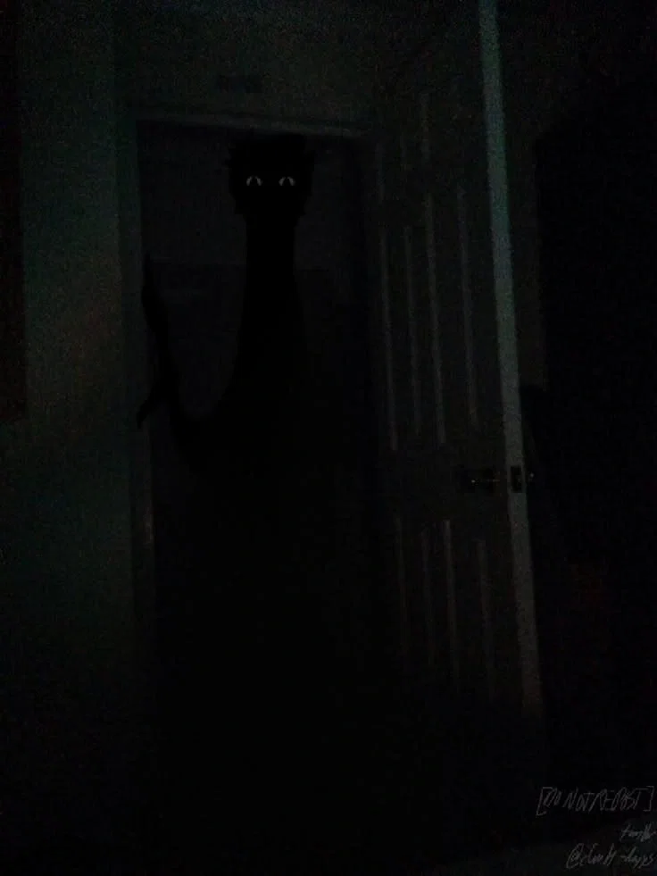 What Is That? 1
