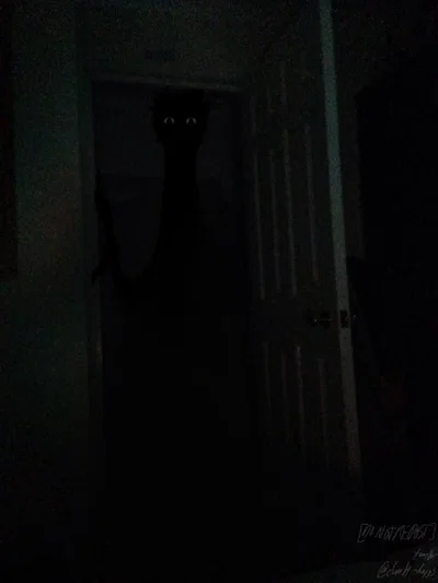 What Is That? 1