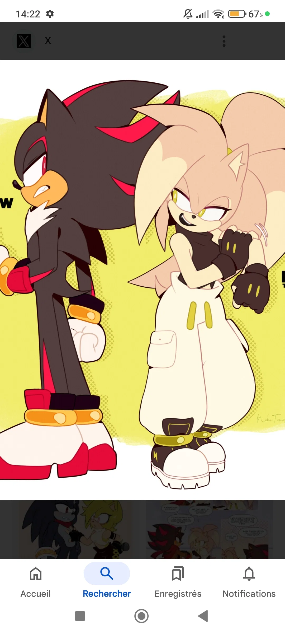 Shadow the hedgehog 