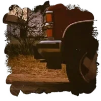 Hillbilly - mlm