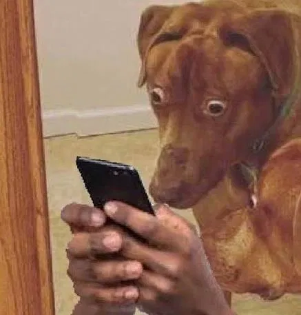 100 FOLLOWERS?!?!