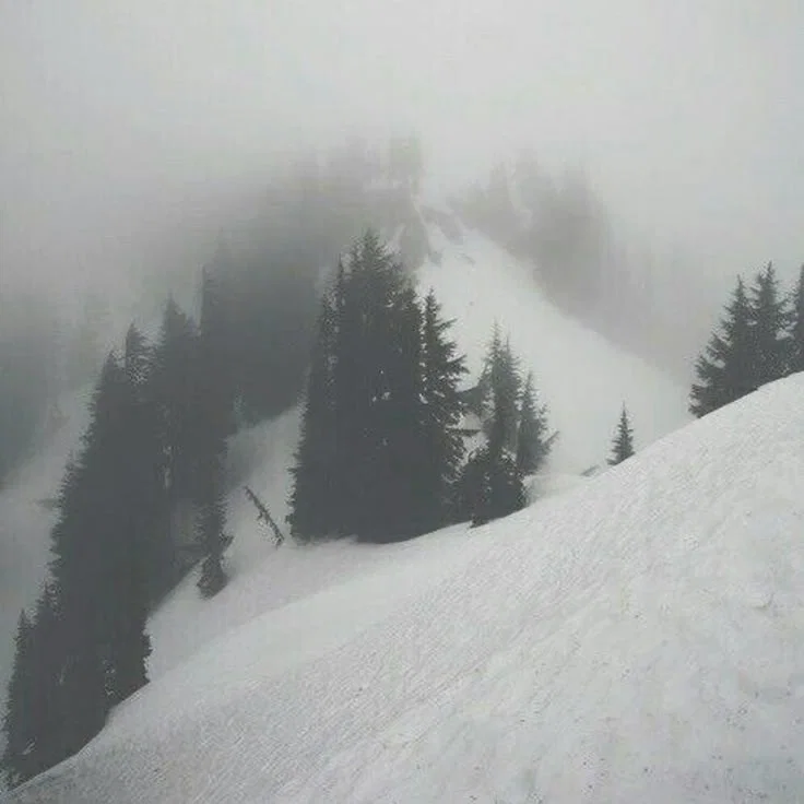 Undying Winter