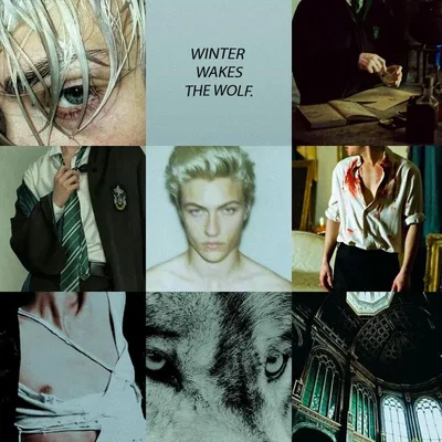 Draco Malfoy 