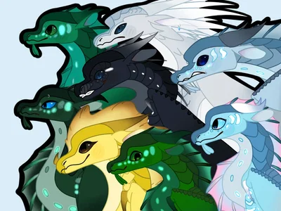 The rise of Animus users