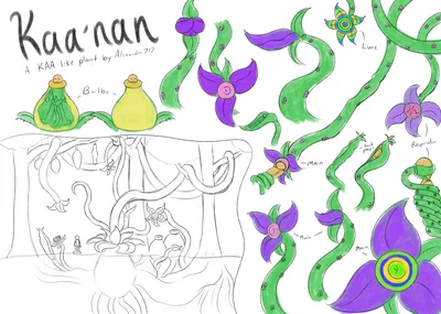 Kaa'nan - A Hypnotic Plant