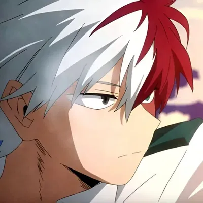 ꧁•⊹٭Shoto Todoroki 