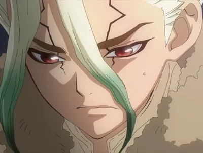 Senku Ishigami