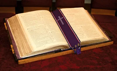 Originalist Bible Expert