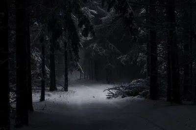 Creepypasta mansion