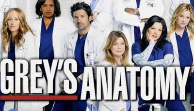 Grays anatomy