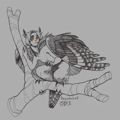 Harpy