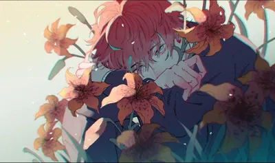 Koa