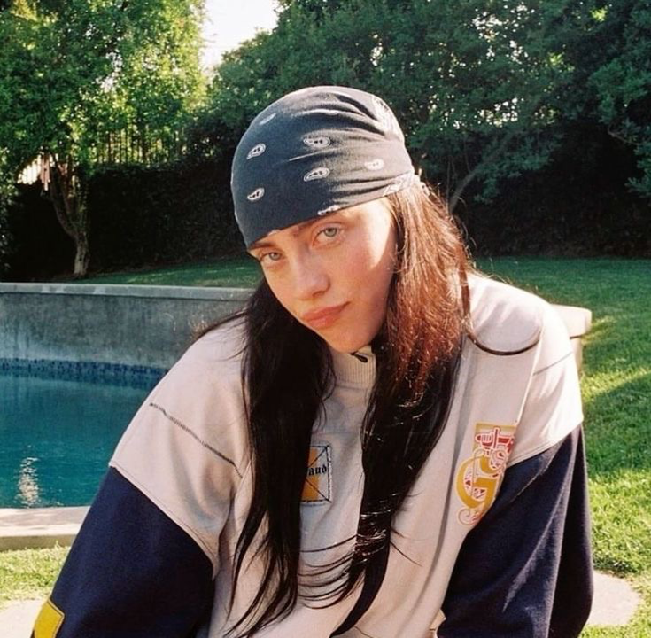 Billie Eilish || party 